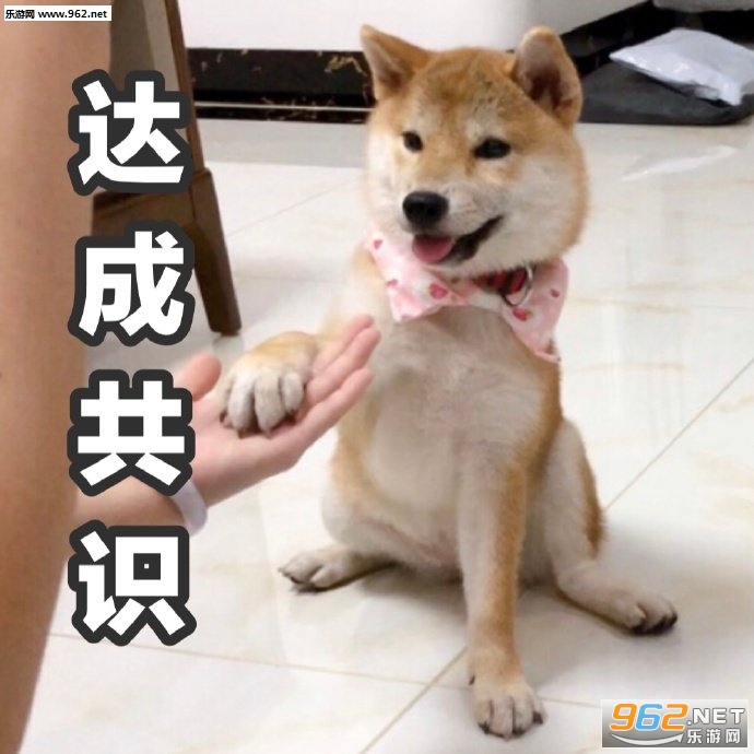 ħ�Բ�Ȯ�������ͼ1