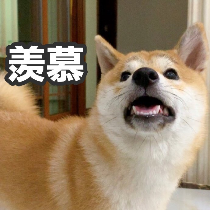 ħ�Բ�Ȯ�����