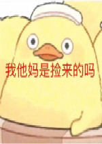 �������Ǽ�����������