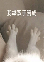 �յ���֤�����������