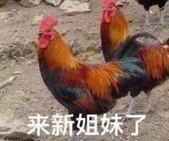 �ǻҶ��������˱������ͼ4