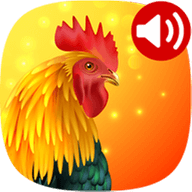 ��������app