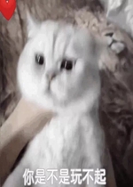��������Ҫ�շ��˱����