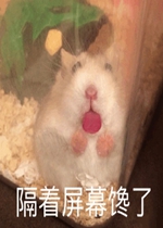������Ļ����ͼƬ�����