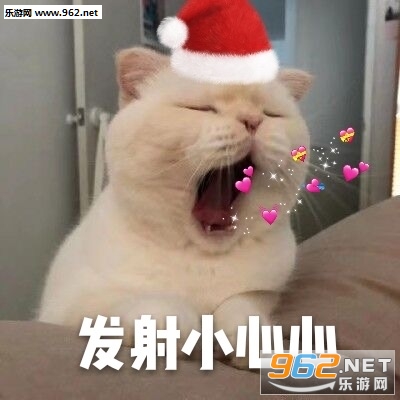 我钱花哪了表情包截图0