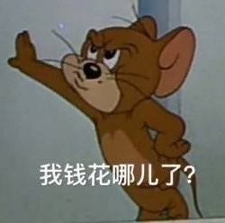 我钱花哪了表情包截图2