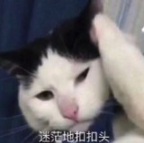 ���̨����Ҫ��Ҫ�±������ͼ3