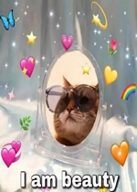 ������ŮI am beautyͼƬ�����