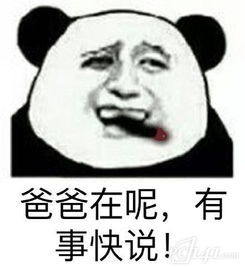 ������������ͼ0