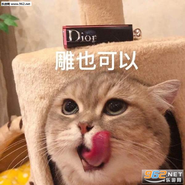 ���С���Ѷ��������ֱ����