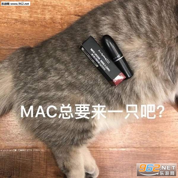 ���С���Ѷ��������ֱ����