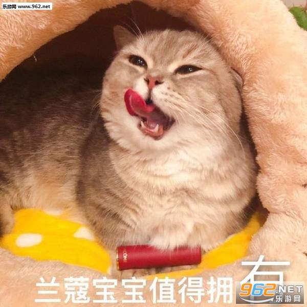 ���С���Ѷ��������ֱ����