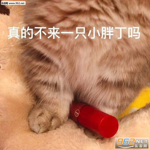 ���С���Ѷ��������ֱ����