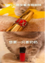 ���С���Ѷ��������ֱ����