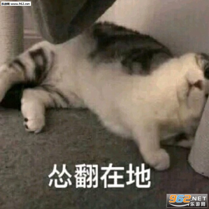 ��������������ͼ1