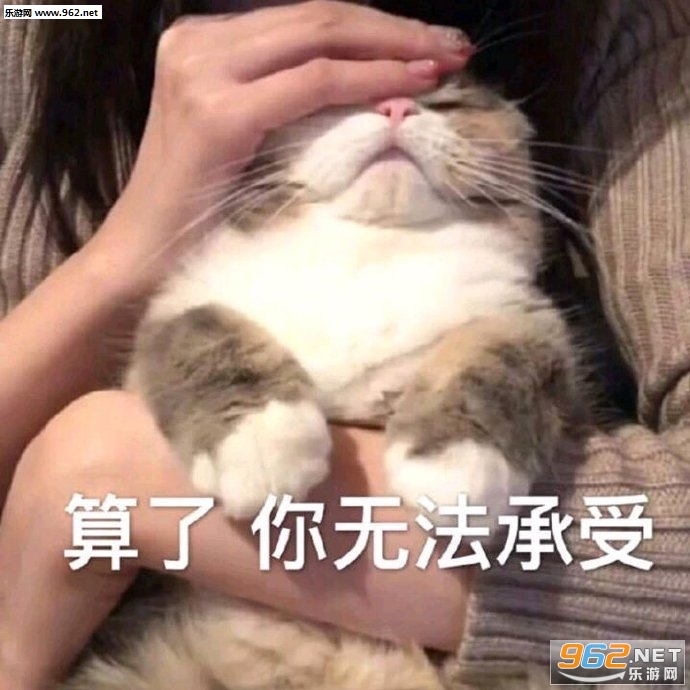 ��������������ͼ2