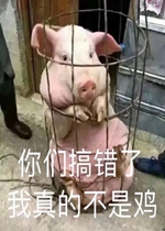 ���Ǹ��������Ĳ��Ǽ�ͼƬ�����