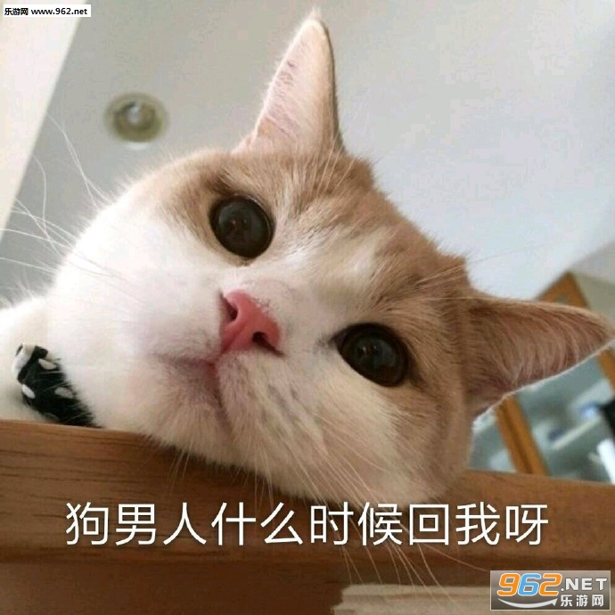 ������ʲôʱ����Ұ���ͼƬ�������ͼ9