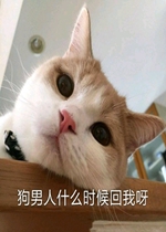 ������ʲôʱ����Ұ���ͼƬ�����