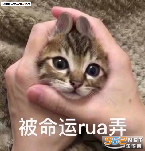 ������ruaŪè��������ͼ0