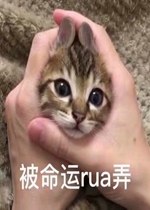 ������ruaŪè������