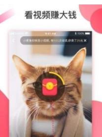 ���Զ���Ƶ׬Ǯ����