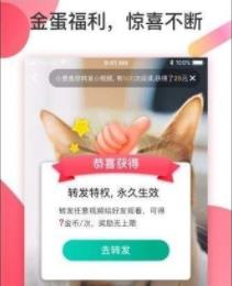 ���Զ���Ƶ׬Ǯ����v2.0.9��ͼ0