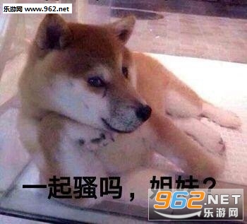 �����ӵ�ͼƬ�����ͼ1