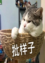 �����ӵ�ͼƬ����