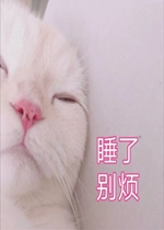 ˯�˱�è������