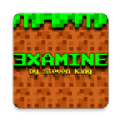 ExaMine���İ�
