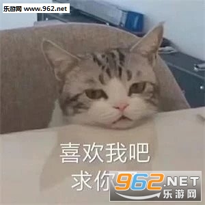 ��ͷ������ͷ����ͼͼƬ�������ͼ5