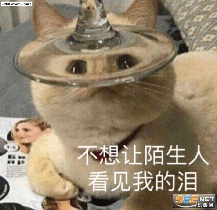 ��ͷ������ͷ����ͼͼƬ�������ͼ8