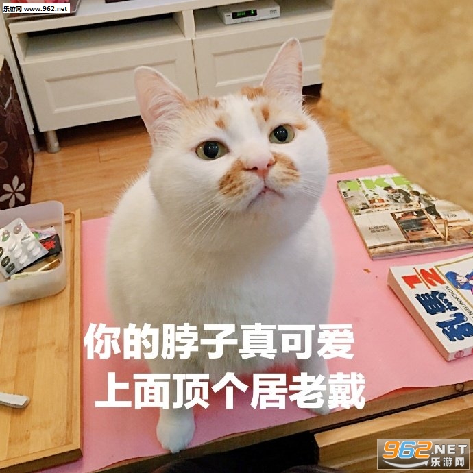 ��ϲ������һ��Ҫ����֪���������ͼ0