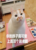 ��ϲ������һ��Ҫ����֪�������