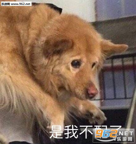 ���Ҳ����˱������ͼ0