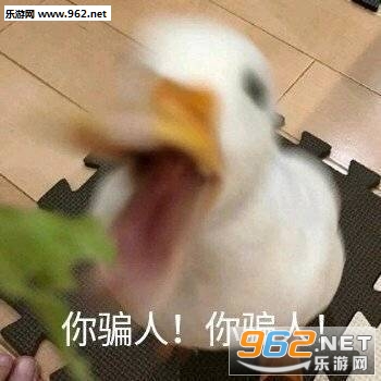 ����µ���������ͼƬ�������ͼ2