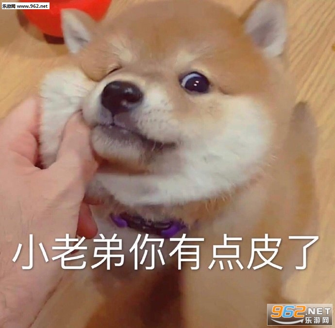�Ҳ��Ǻ�ϲ�����˽���������ͼ5