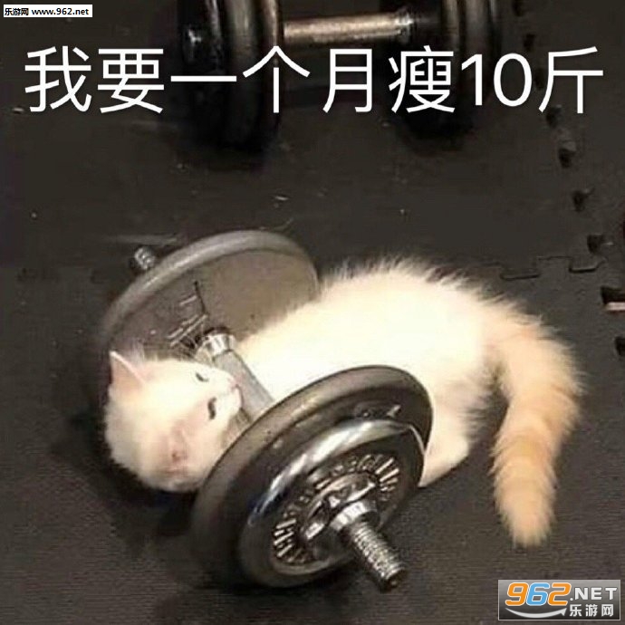 �Ҳ��Ǻ�ϲ�����˽���������ͼ6
