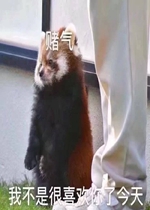 �Ҳ��Ǻ�ϲ�����˽�������