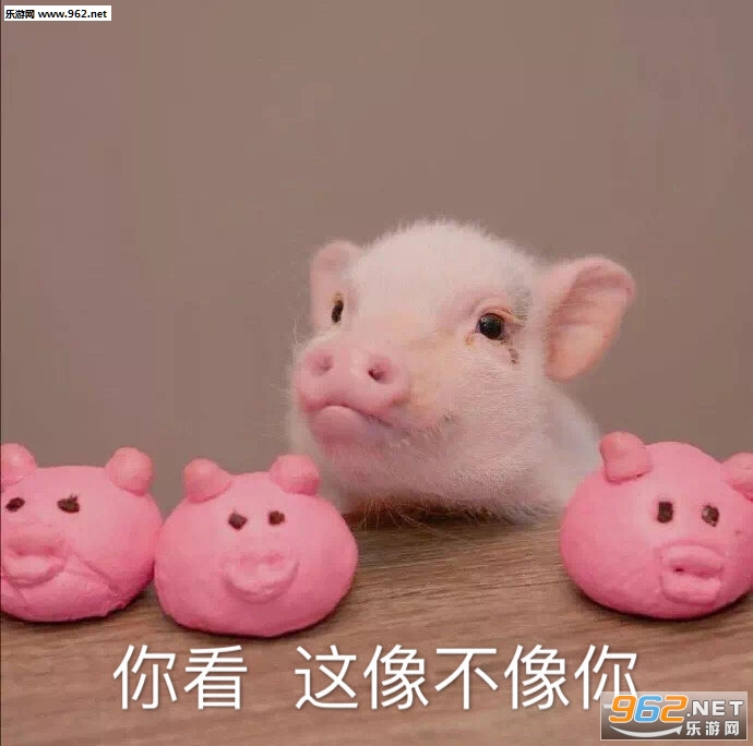 �Ҿ����е㲻��ͷ�������ͼ0