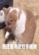 �һ�Ҫ����˫�ְ�ש�����
