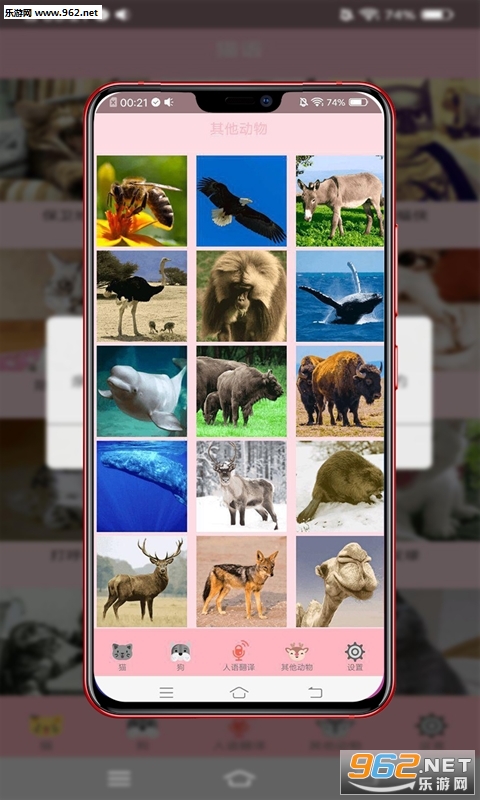 �������ܷ���appv19.9.9 ���°��ͼ1