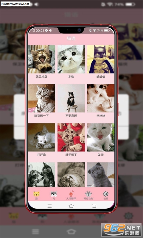 �������ܷ���appv19.9.9 ���°��ͼ2