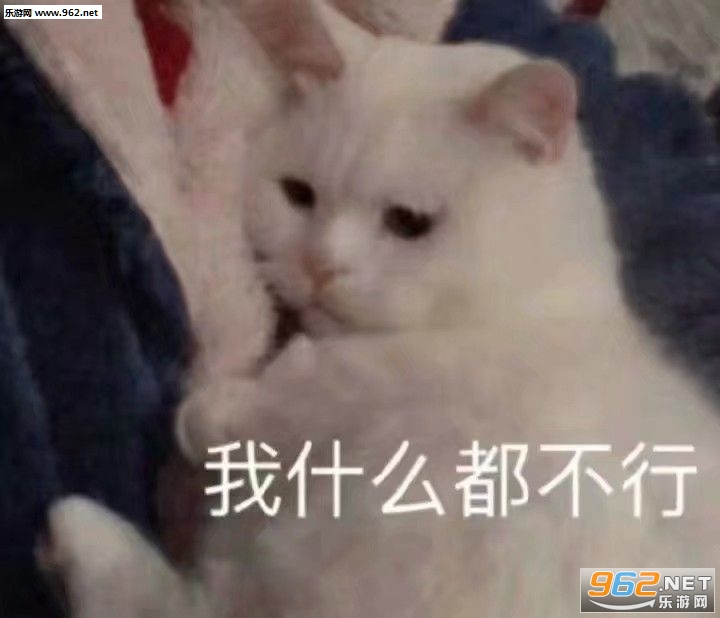 猪仔们起床了表情包图片 猪仔们起床了表情包图片