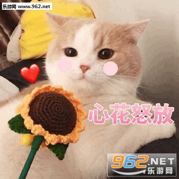 ��ͼ�����ɰ�è�����ı����