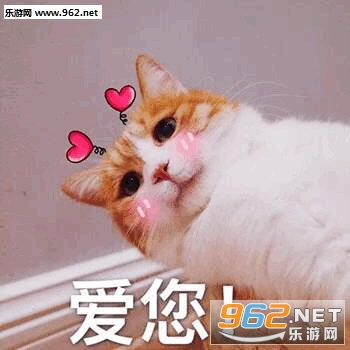 ��ͼ�����ɰ�è�����ı����