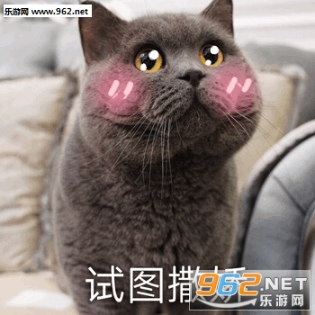 ��ͼ�����ɰ�è�����ı����