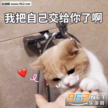 ��ͼ�����ɰ�è�����ı����