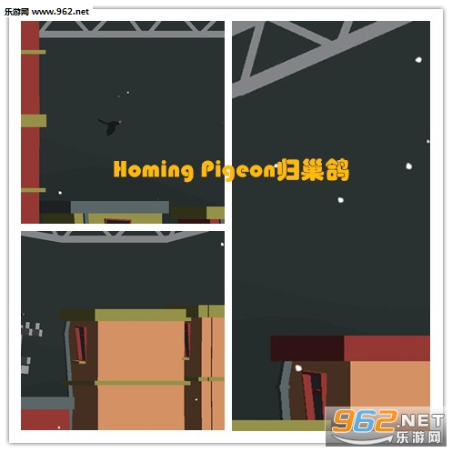Homing Pigeon�鳲�밲׿��